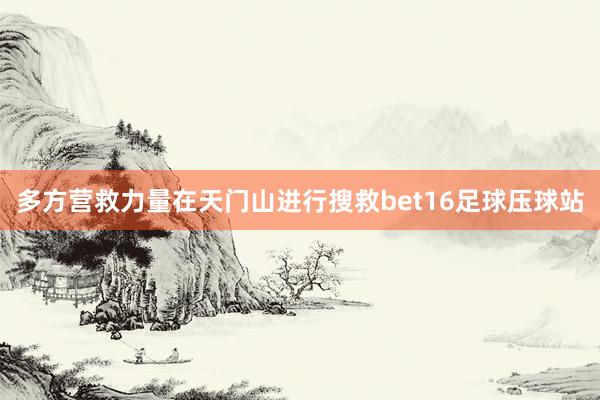 多方营救力量在天门山进行搜救bet16足球压球站