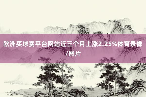 欧洲买球赛平台网站近三个月上涨2.25%体育录像/图片