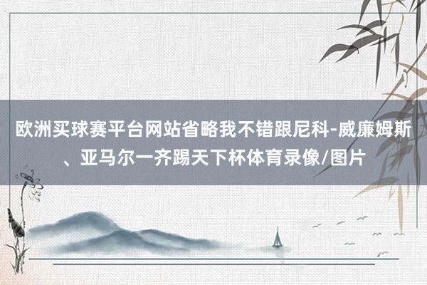 欧洲买球赛平台网站省略我不错跟尼科-威廉姆斯、亚马尔一齐踢天下杯体育录像/图片