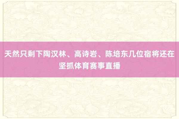 天然只剩下陶汉林、高诗岩、陈培东几位宿将还在坚抓体育赛事直播