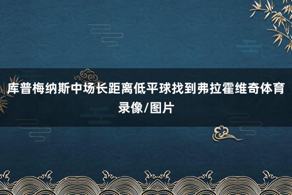 库普梅纳斯中场长距离低平球找到弗拉霍维奇体育录像/图片