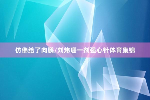 仿佛给了向鹏/刘炜珊一剂强心针体育集锦